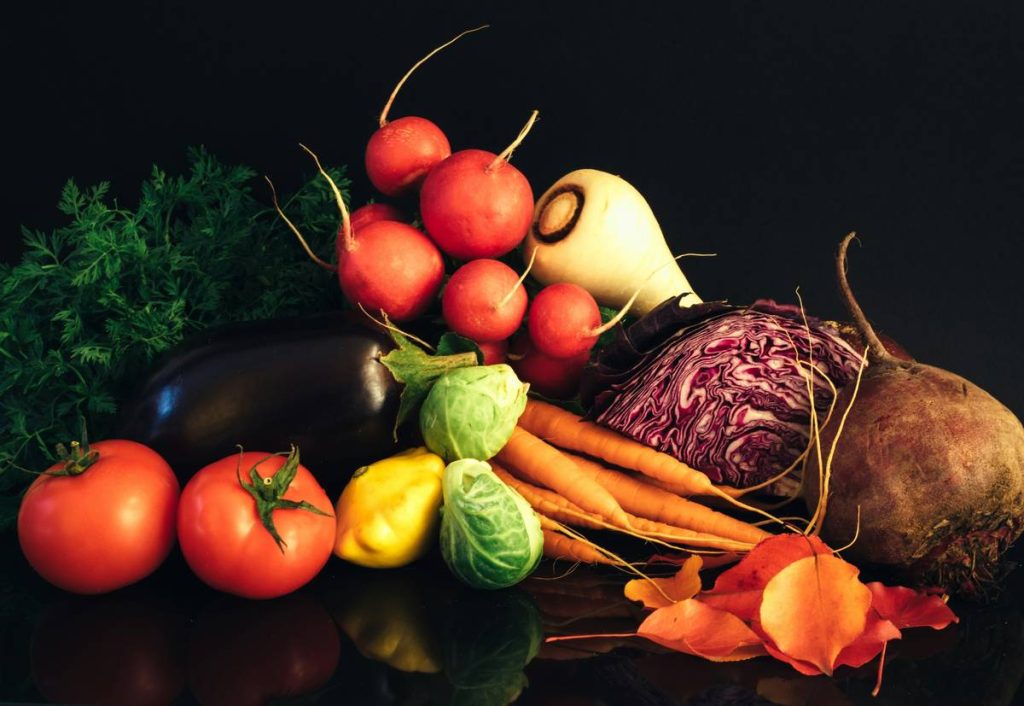 Download Your Free Gut Healing Diet Plan PDF (Backed by Science & Real Results)