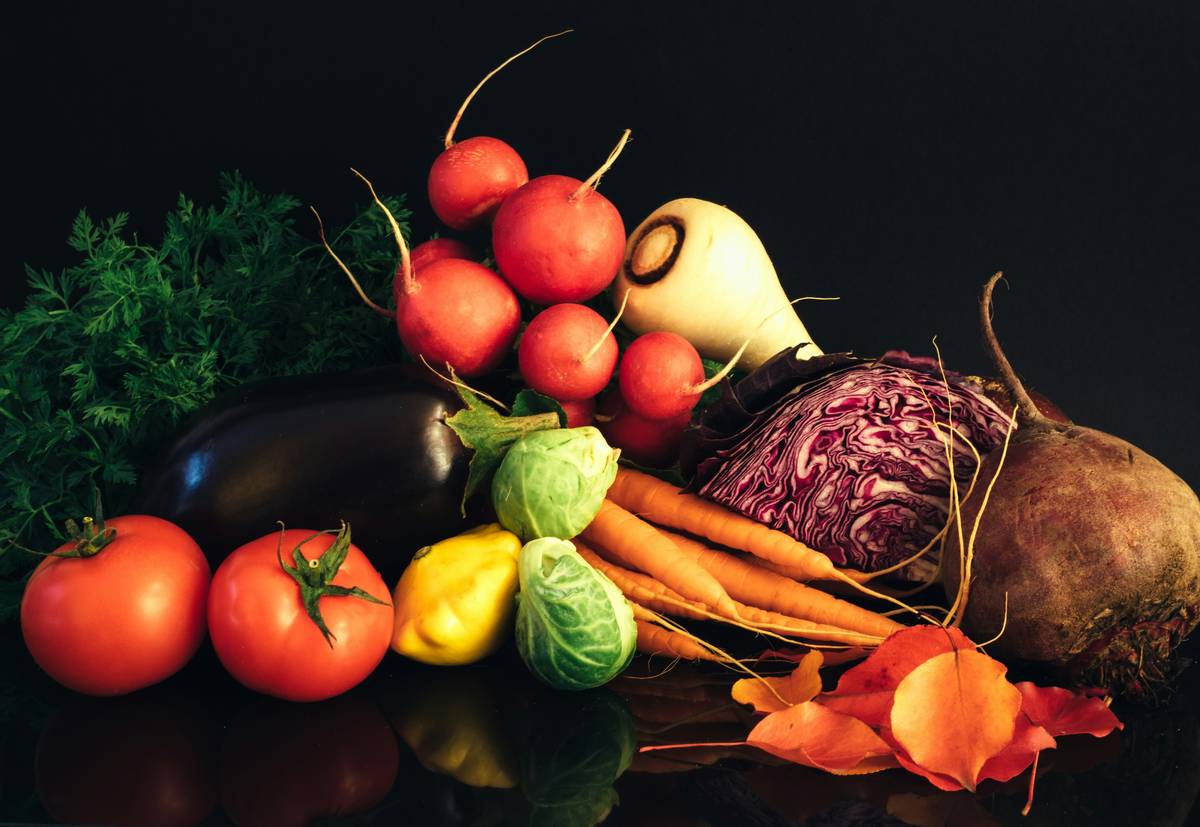Download Your Free Gut Healing Diet Plan PDF (Backed by Science & Real Results)