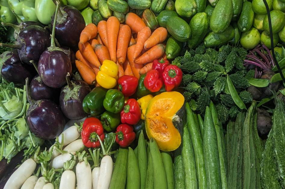 Fresh ingredients for gut healing soup on wooden table