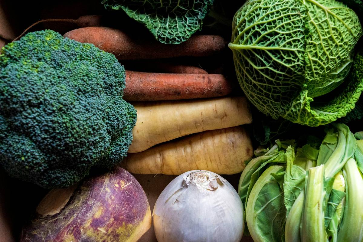 Infographic showing gut-friendly vs gut-irritating vegetarian foods: includes cooked carrots, zucchini, oats, chia seeds (safe) vs raw broccoli, chickpeas, apples, cashews (avoid during healing phase)