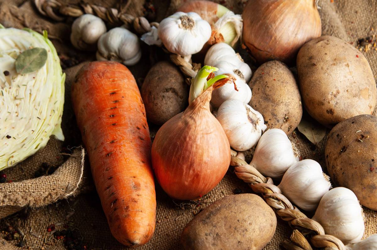 Why Is Healing the Gut Essential? The Science-Backed Truth Behind Your Second Brain