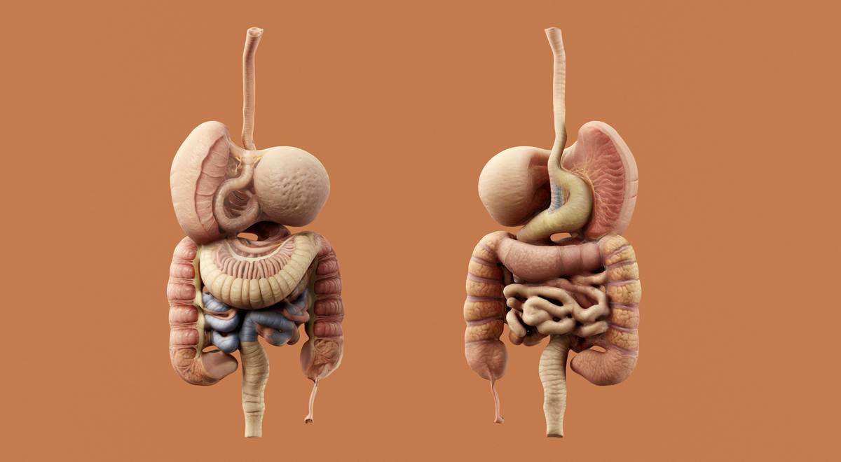 Foods to avoid on an intestinal inflammation diet showing processed snacks, seed oils, and nightshade vegetables
